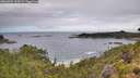 ./images/calvert/foggy-cove/20260704/foggy-cove20260704_113501M.jpg