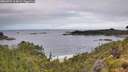 ./images/calvert/foggy-cove/20260704/foggy-cove20260704_114002M.jpg