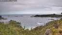 ./images/calvert/foggy-cove/20260704/foggy-cove20260704_115001M.jpg