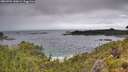 ./images/calvert/foggy-cove/20260704/foggy-cove20260704_120001M.jpg