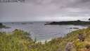 ./images/calvert/foggy-cove/20260704/foggy-cove20260704_120501M.jpg
