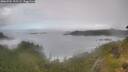 ./images/calvert/foggy-cove/20260704/foggy-cove20260704_122501M.jpg