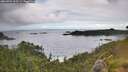 ./images/calvert/foggy-cove/20260704/foggy-cove20260704_123501M.jpg