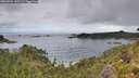 ./images/calvert/foggy-cove/20260704/foggy-cove20260704_125501M.jpg