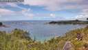 ./images/calvert/foggy-cove/20260704/foggy-cove20260704_145001M.jpg