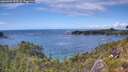 ./images/calvert/foggy-cove/20260704/foggy-cove20260704_153501M.jpg
