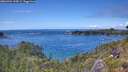 ./images/calvert/foggy-cove/20260704/foggy-cove20260704_154501M.jpg