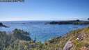 ./images/calvert/foggy-cove/20260704/foggy-cove20260704_174001M.jpg