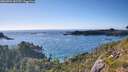 ./images/calvert/foggy-cove/20260704/foggy-cove20260704_182724M.jpg