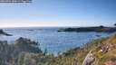./images/calvert/foggy-cove/20260704/foggy-cove20260704_184501M.jpg