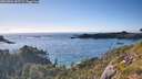 ./images/calvert/foggy-cove/20260704/foggy-cove20260704_185501M.jpg
