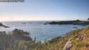 ./images/calvert/foggy-cove/20260704/foggy-cove20260704_191001M.jpg