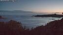 ./images/calvert/foggy-cove/20260705/foggy-cove20260705_043501M.jpg