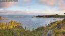./images/calvert/foggy-cove/20260705/foggy-cove20260705_062001M.jpg