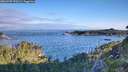 ./images/calvert/foggy-cove/20260705/foggy-cove20260705_070501M.jpg
