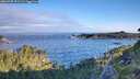 ./images/calvert/foggy-cove/20260705/foggy-cove20260705_071501M.jpg