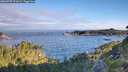 ./images/calvert/foggy-cove/20260705/foggy-cove20260705_072001M.jpg