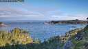 ./images/calvert/foggy-cove/20260705/foggy-cove20260705_072501M.jpg