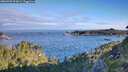 ./images/calvert/foggy-cove/20260705/foggy-cove20260705_073001M.jpg