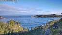 ./images/calvert/foggy-cove/20260705/foggy-cove20260705_073501M.jpg