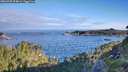 ./images/calvert/foggy-cove/20260705/foggy-cove20260705_074001M.jpg