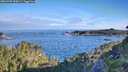 ./images/calvert/foggy-cove/20260705/foggy-cove20260705_075001M.jpg