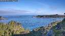 ./images/calvert/foggy-cove/20260705/foggy-cove20260705_075501M.jpg