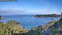 ./images/calvert/foggy-cove/20260705/foggy-cove20260705_080001M.jpg