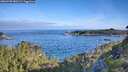 ./images/calvert/foggy-cove/20260705/foggy-cove20260705_080501M.jpg