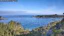 ./images/calvert/foggy-cove/20260705/foggy-cove20260705_081002M.jpg