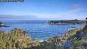 ./images/calvert/foggy-cove/20260705/foggy-cove20260705_081501M.jpg