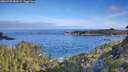 ./images/calvert/foggy-cove/20260705/foggy-cove20260705_082002M.jpg