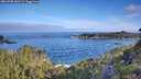 ./images/calvert/foggy-cove/20260705/foggy-cove20260705_082501M.jpg