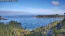 ./images/calvert/foggy-cove/20260705/foggy-cove20260705_083001M.jpg
