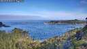 ./images/calvert/foggy-cove/20260705/foggy-cove20260705_083502M.jpg