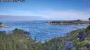 ./images/calvert/foggy-cove/20260705/foggy-cove20260705_084001M.jpg