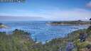 ./images/calvert/foggy-cove/20260705/foggy-cove20260705_084501M.jpg