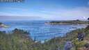 ./images/calvert/foggy-cove/20260705/foggy-cove20260705_085001M.jpg