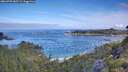 ./images/calvert/foggy-cove/20260705/foggy-cove20260705_085501M.jpg