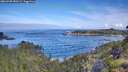 ./images/calvert/foggy-cove/20260705/foggy-cove20260705_090501M.jpg