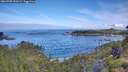 ./images/calvert/foggy-cove/20260705/foggy-cove20260705_091001M.jpg