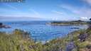 ./images/calvert/foggy-cove/20260705/foggy-cove20260705_091501M.jpg