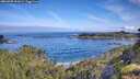 ./images/calvert/foggy-cove/20260705/foggy-cove20260705_092001M.jpg