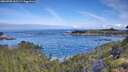 ./images/calvert/foggy-cove/20260705/foggy-cove20260705_092502M.jpg