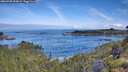 ./images/calvert/foggy-cove/20260705/foggy-cove20260705_093001M.jpg