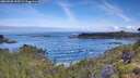 ./images/calvert/foggy-cove/20260705/foggy-cove20260705_093501M.jpg