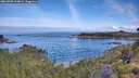 ./images/calvert/foggy-cove/20260705/foggy-cove20260705_094001M.jpg