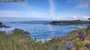 ./images/calvert/foggy-cove/20260705/foggy-cove20260705_094501M.jpg