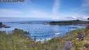 ./images/calvert/foggy-cove/20260705/foggy-cove20260705_095001M.jpg