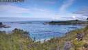./images/calvert/foggy-cove/20260705/foggy-cove20260705_100002M.jpg